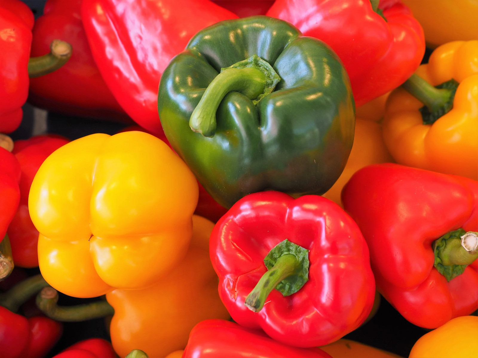150 RAINBOW BELL PEPPER Sweet Red Green Yellow Orange Purple Brown White Seeds
