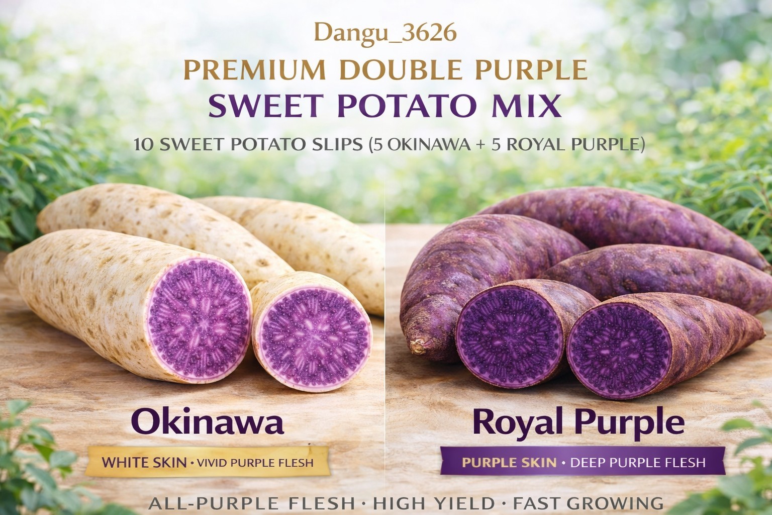 Okinawa Purple & Royal Purple Sweet Potato Slips (10) White Skin + Deep Purple