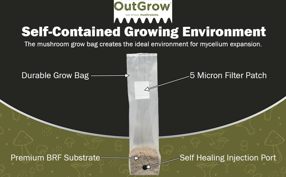 BRF BAGS Brown Rice Flour Mushroom Substrate Grow Bags / Sale is for 24 bags