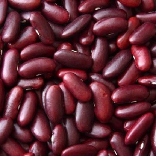 Premium Dark Red Kidney Bean Seeds. Heirloom. Non-GMO. Dry Beans. Easy to Grow!