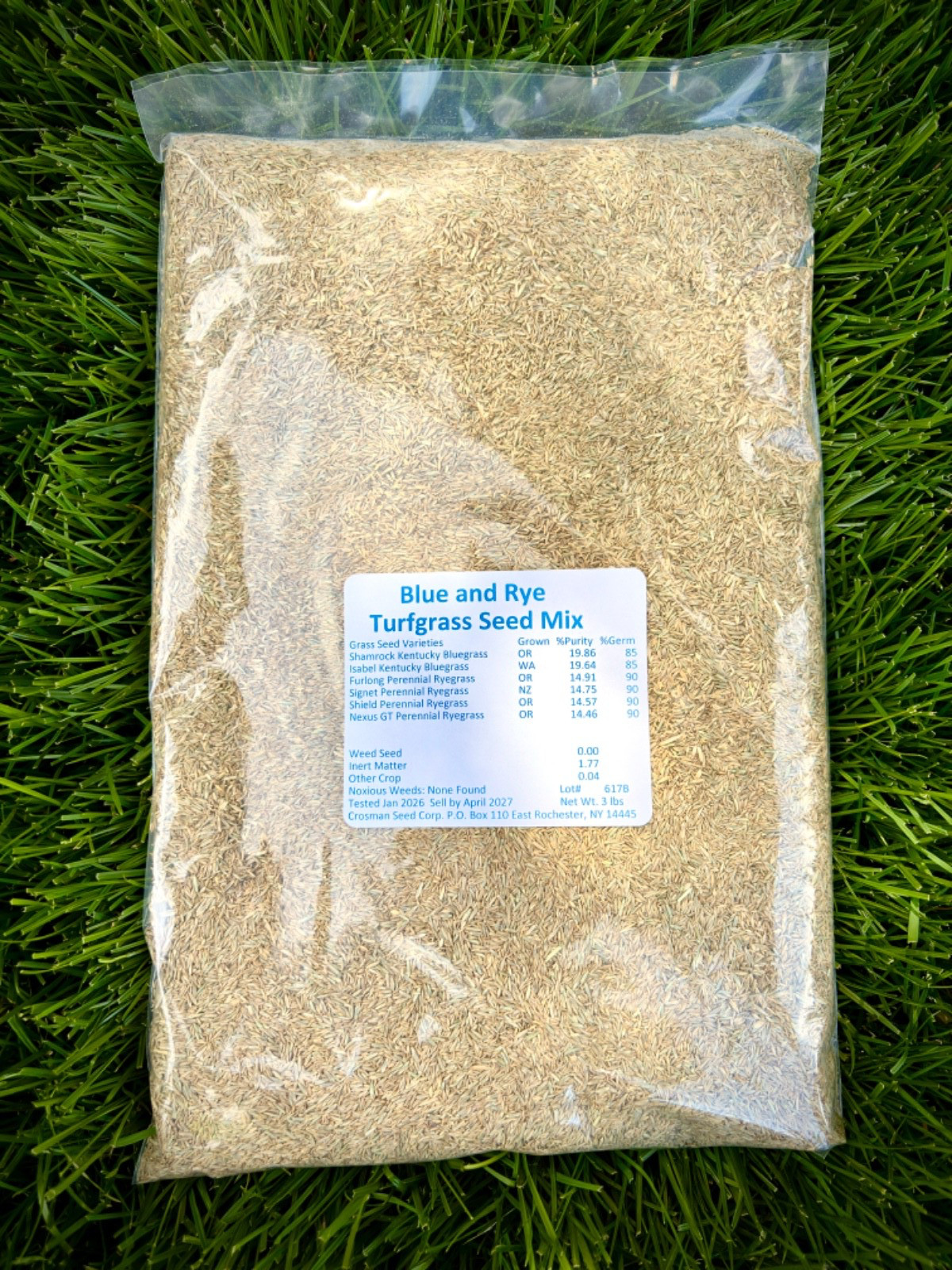 Grass Seed High Traffic Kentucky Bluegrass Perennial Ryegrass Mix 3 lb Kids Pets