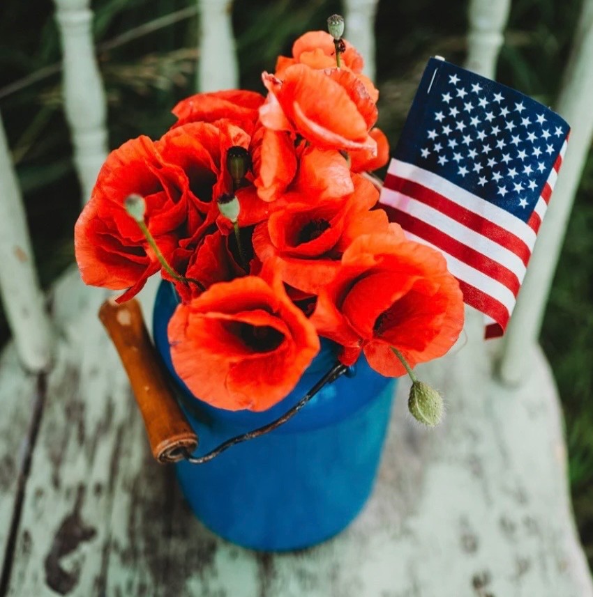 1000-3000 Red Corn (Flanders) Poppy Seeds, American Legion Flower, Fresh 2026