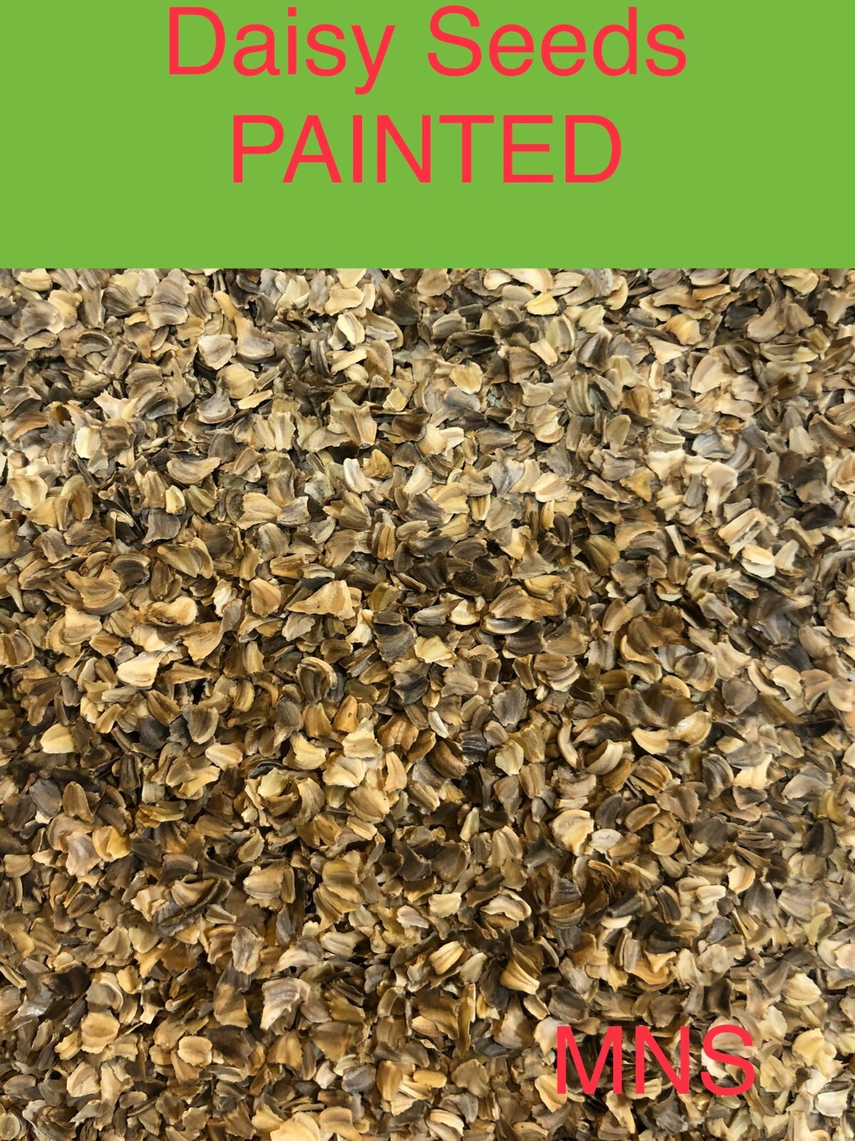 Painted Daisy MIXED Colors Pollinators Butterflies Perennial Non-GMO 200 Seeds!
