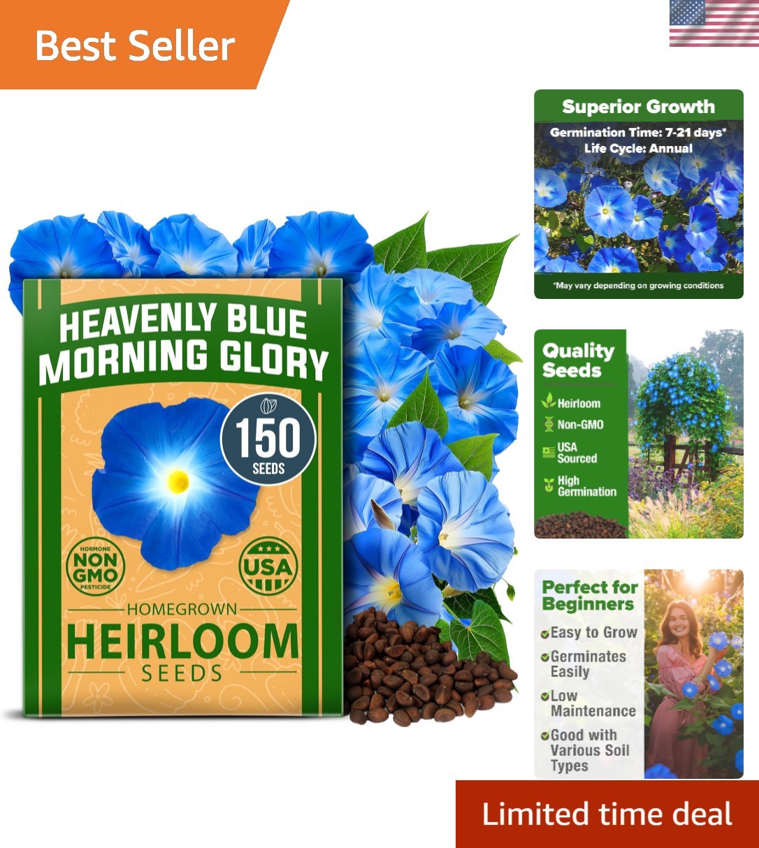 Heavenly Blue Morning Glory Seeds – 150 Heirloom for Pollinator-Friendly Gardens