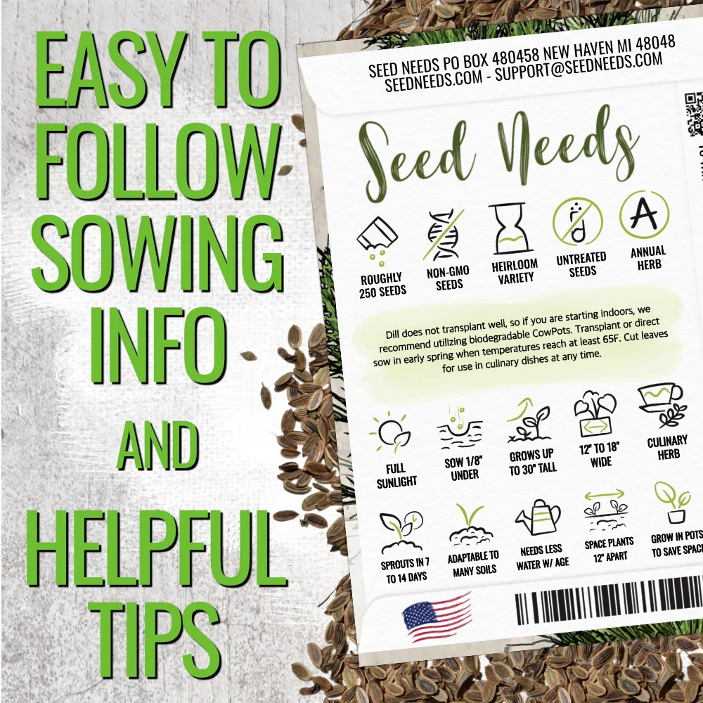 Dill Herb Seeds For Planting (Anethum graveolens)