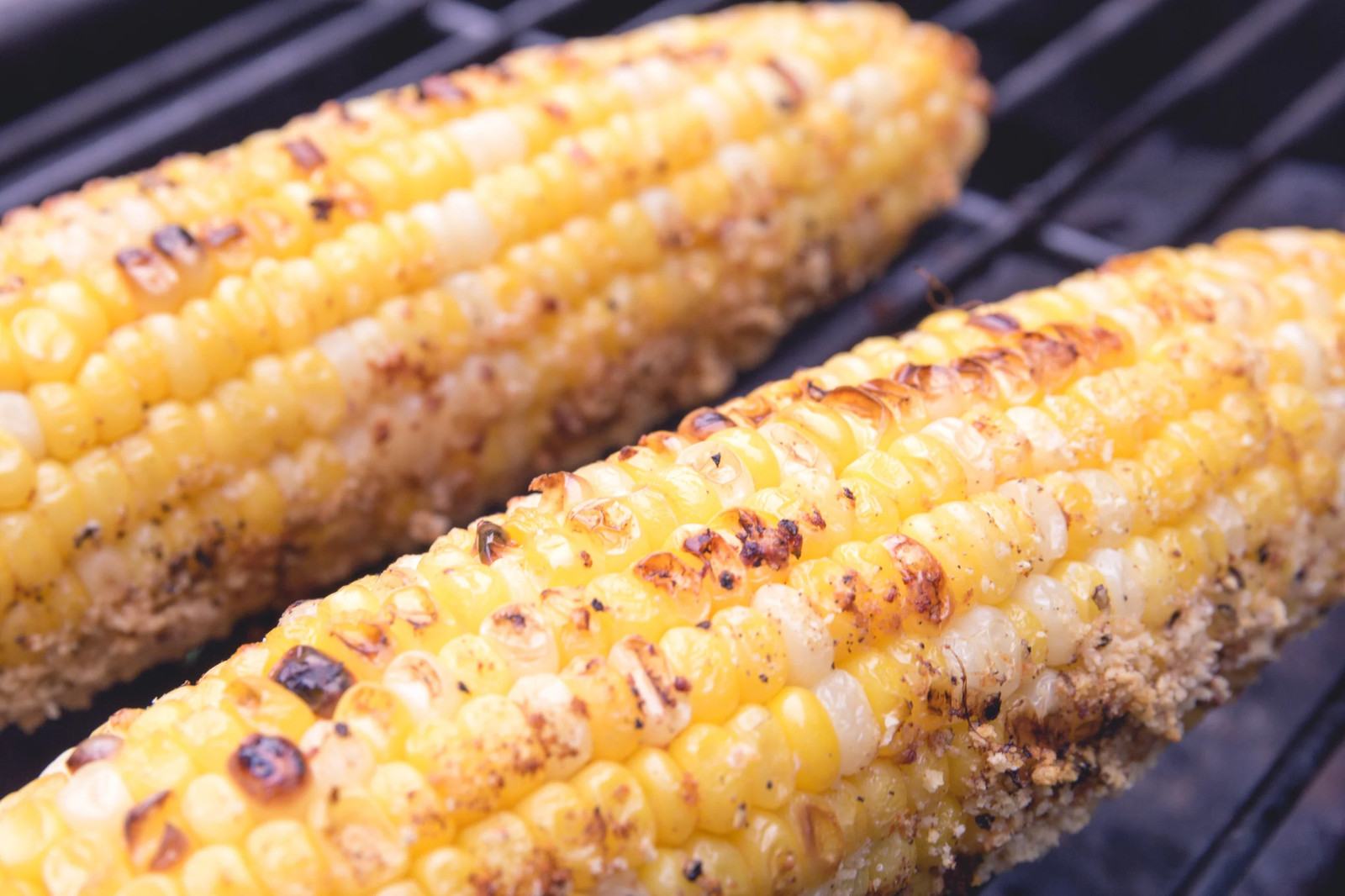 Ambrosia F1 Sweet Corn Seeds | Bicolor SE Untreated Hybrid NonGMO USA Seed 2024