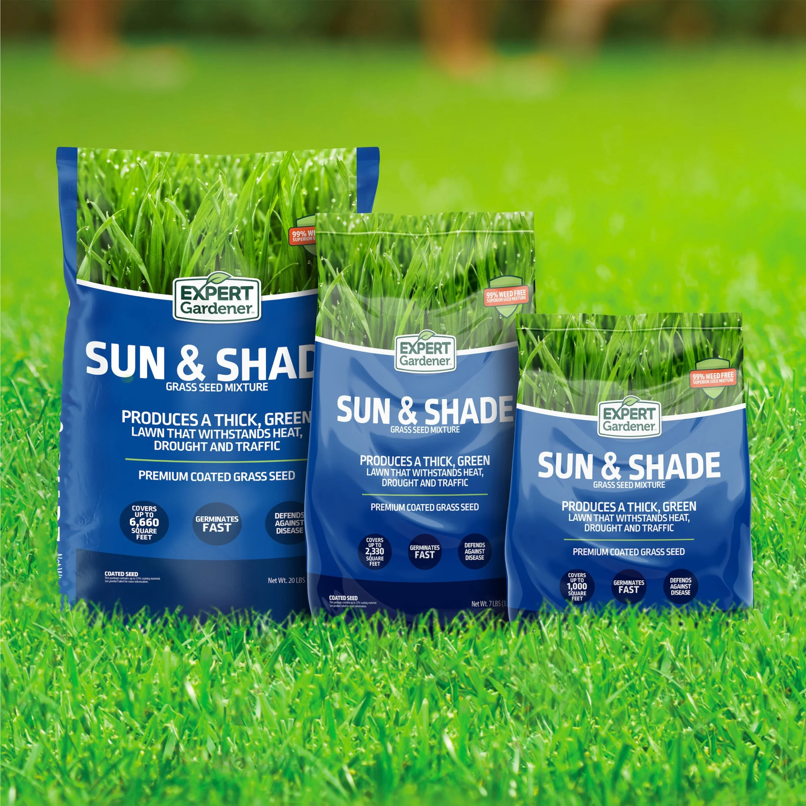 Sun & Shade Southern Grass Seed Mix, for Sun to Partial Shade, 7 Lb.