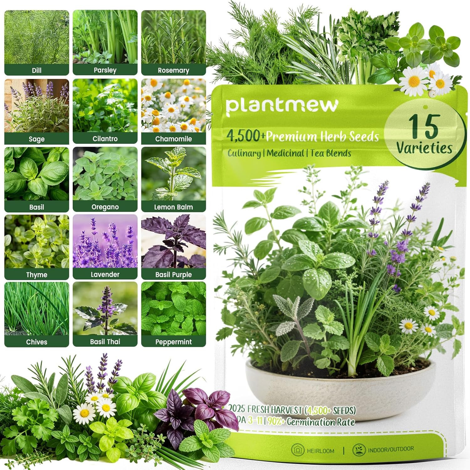 Herb Seeds 15-Pack – 4500+ Non-GMO Heirloom Seeds for Planting – Indoor & Outdo