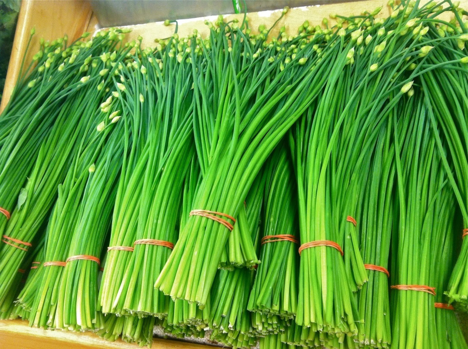 400+ Garlic Chives Seeds —- Perennial ————- Organic — Heirloom