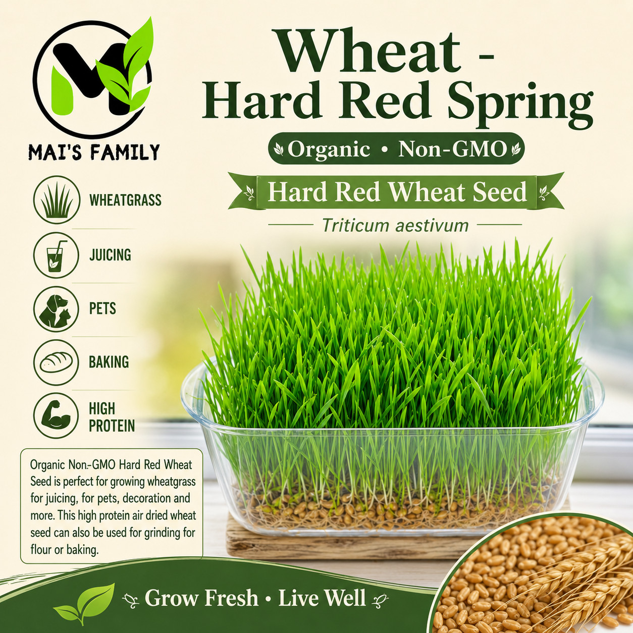[ WHOLESALE ] Wheat Grass Seed- Guaranteed to Grow, Pets Friendly (USDA Organic)