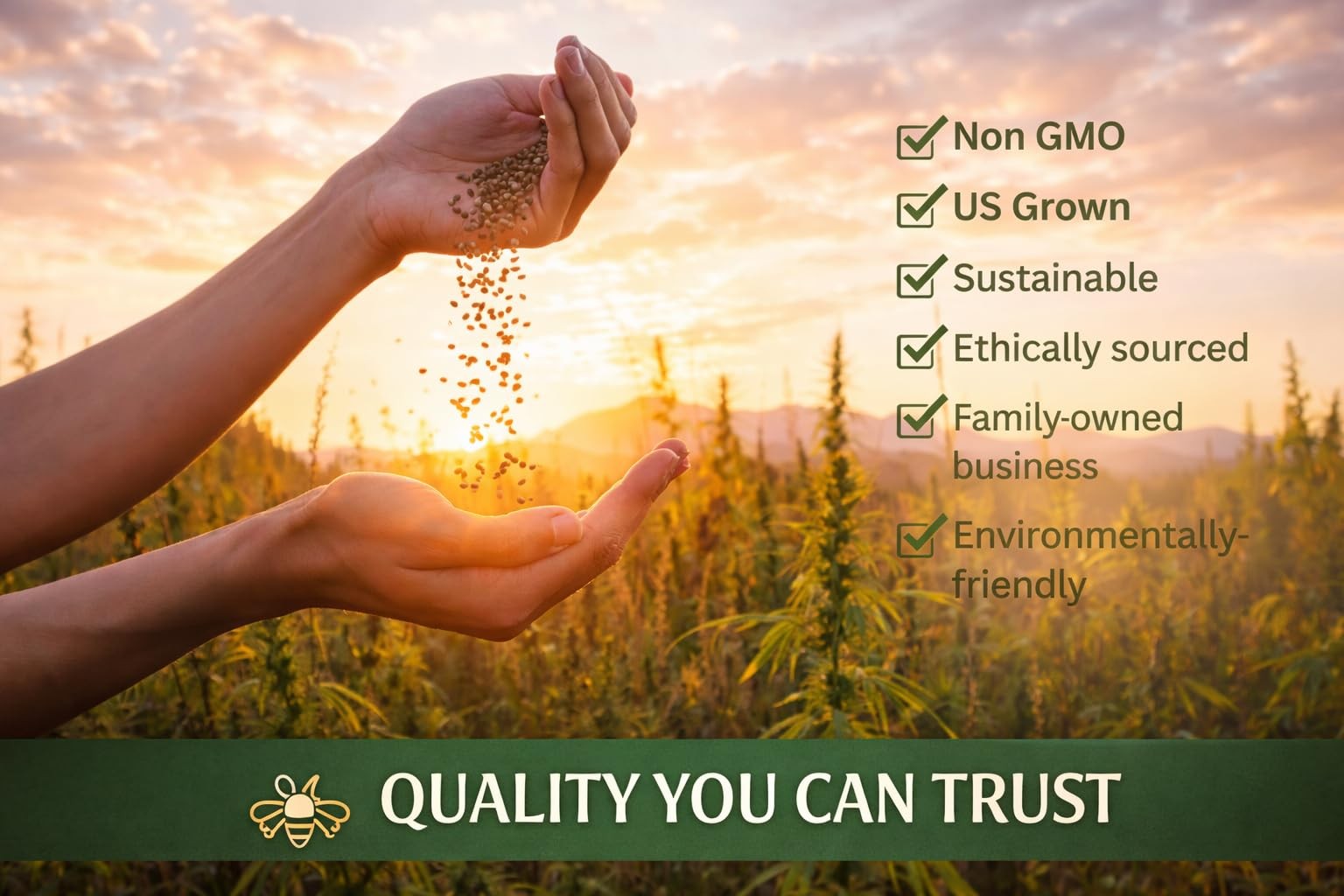 Arkansas Bulk Perennial and Annual Non-GMO Wildflower Seed Mix 1/4lb Covers 5…