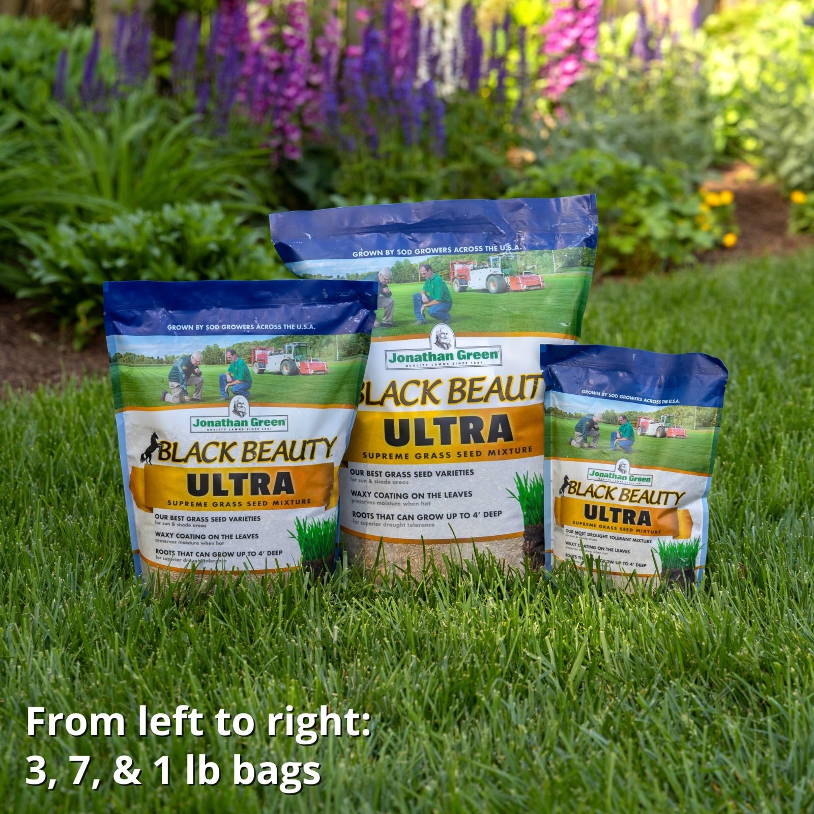 Premium Black Beauty Ultra Grass Seed – Cool Season Lawn Seed, 7 lb for Lush Law