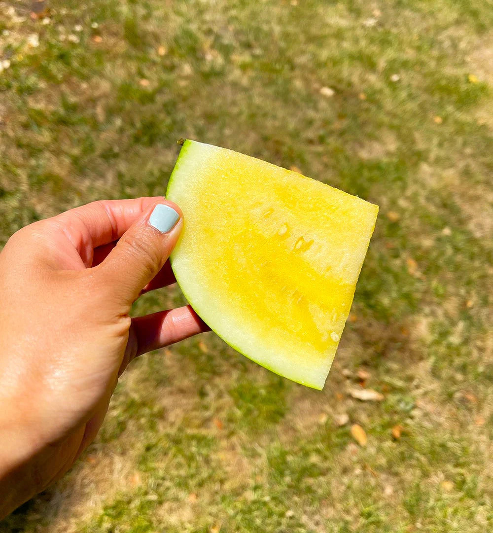 Yellow Petite Watermelon Seeds | Heirloom Mini Personal Dwarf Melon Seed 2024