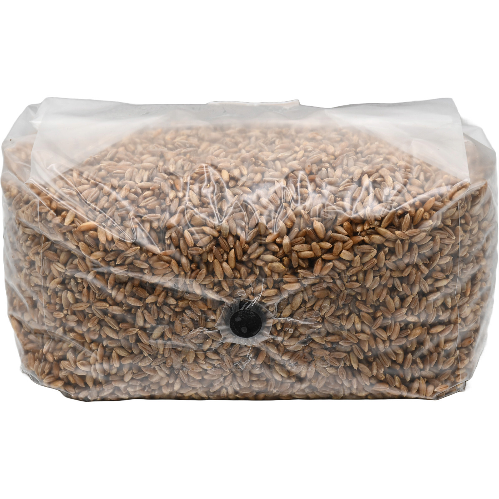 Sterilized Rye Berry Grow Bag (25lbs)