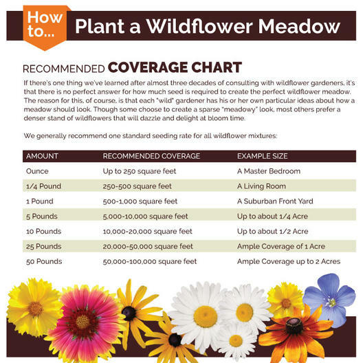Wildflower Mix SOUTHWEST Regional 25 Species w/ Perennials Non-GMO New 500 Seeds
