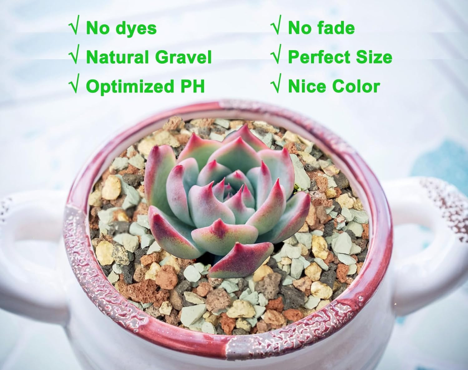 5Lb Bonsai Succulent and Cactus Soil Gritty Mix Rocks Gravel for Terrarium Top D