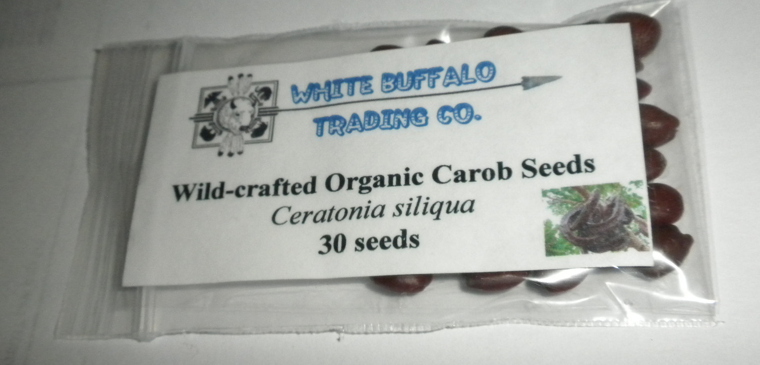 30 Carob Tree Seeds “Ceratonia Siliqua” wild-crafted Biblical fruit raw