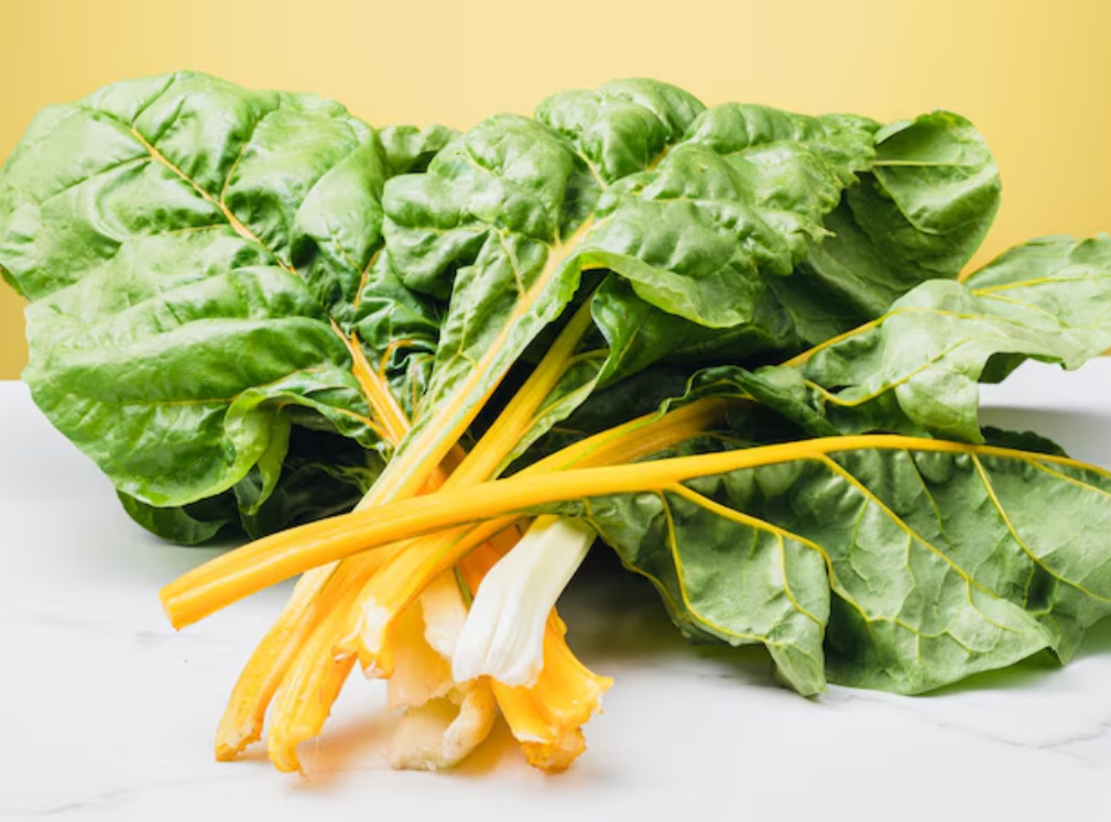 🌱Heirloom Canary Yellow Swiss Chard 100+ Seeds