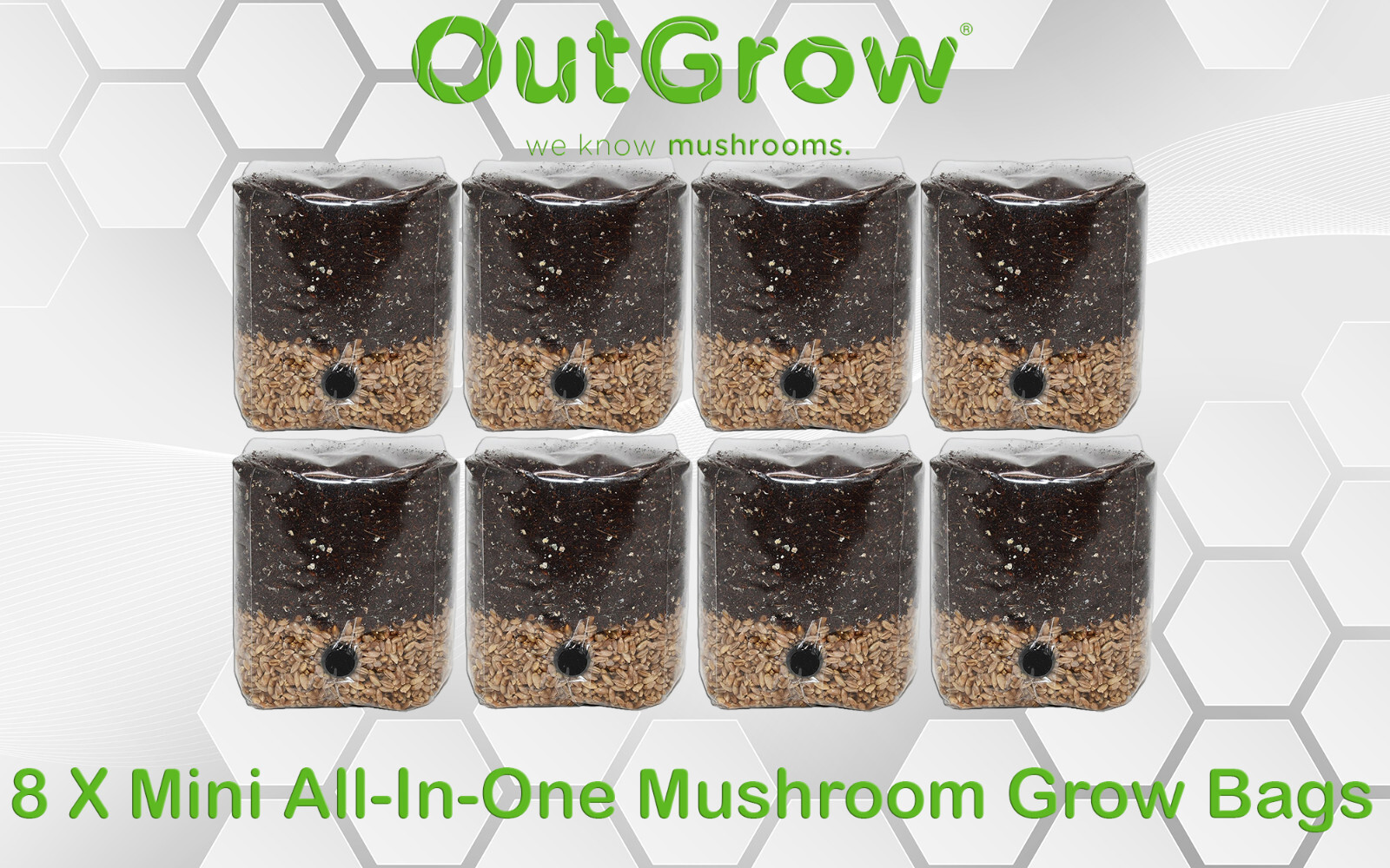 8 X Mini All In One Mushroom Grow Bags