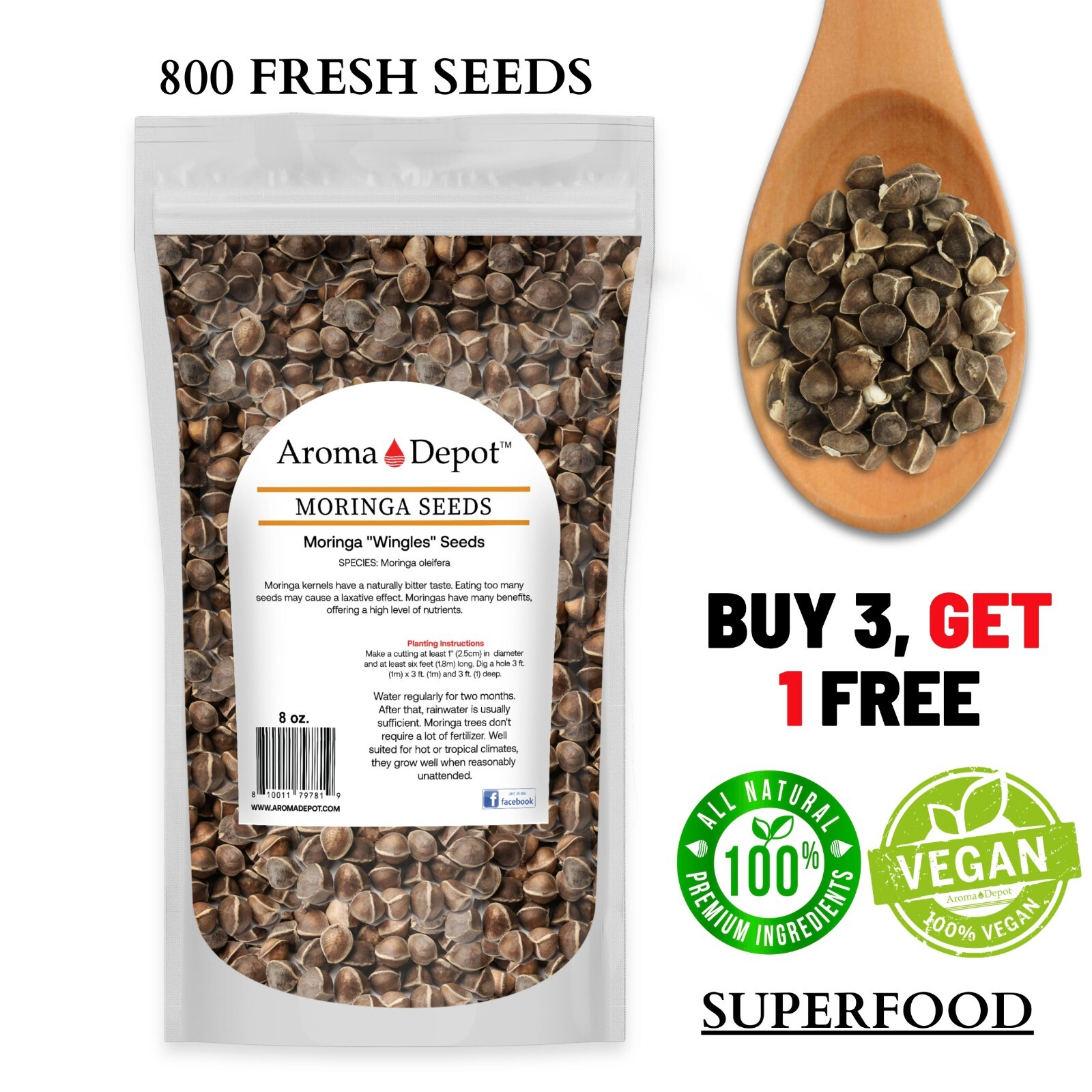 Moringa Seeds 8 oz. Wingless 800 Semilla de Moringa Oleifera Pepa Malunggay Bulk