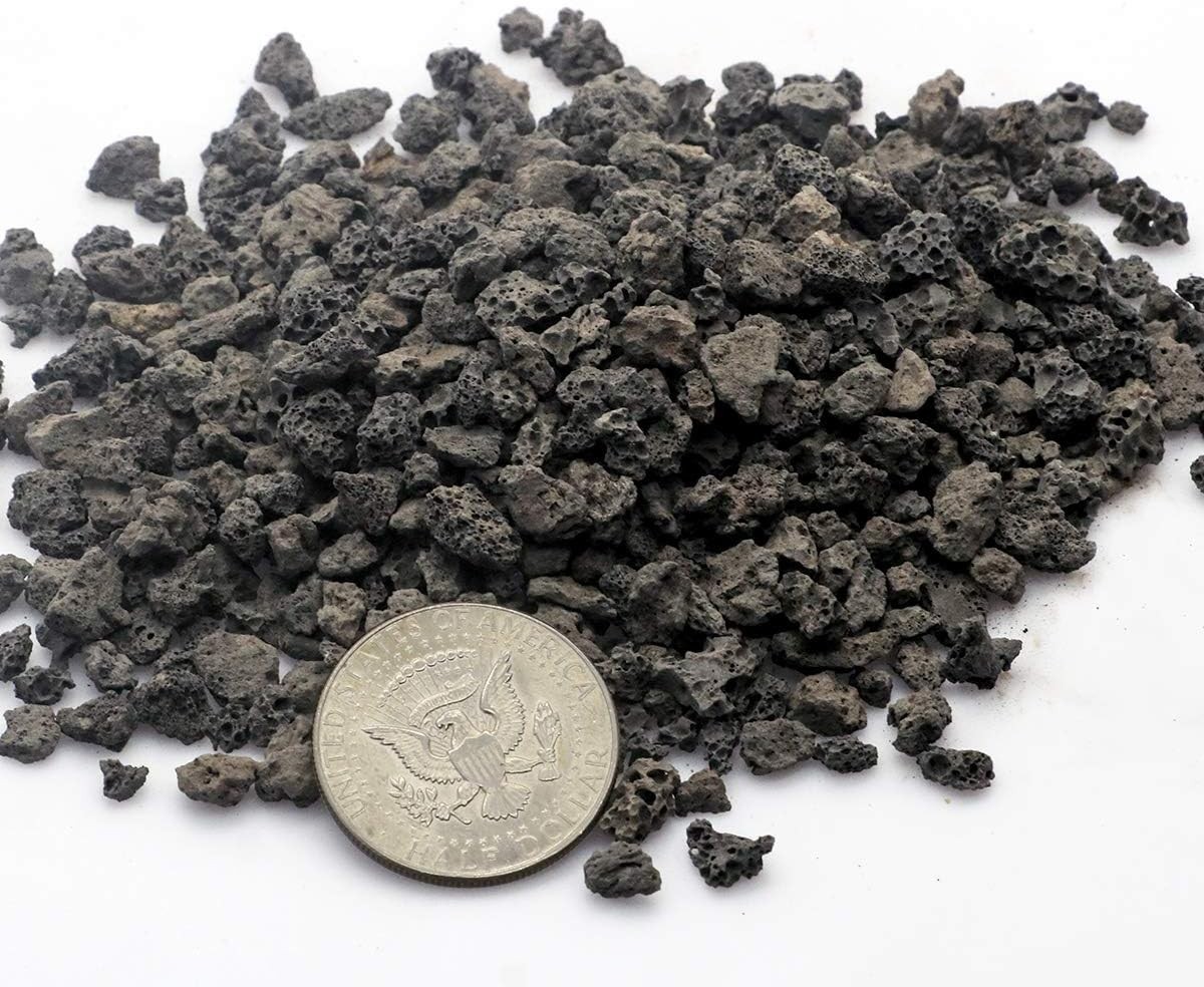 6lb Black Lava Rock for Plants, Natural Horticultural Volcanic Grit, Cactus S…