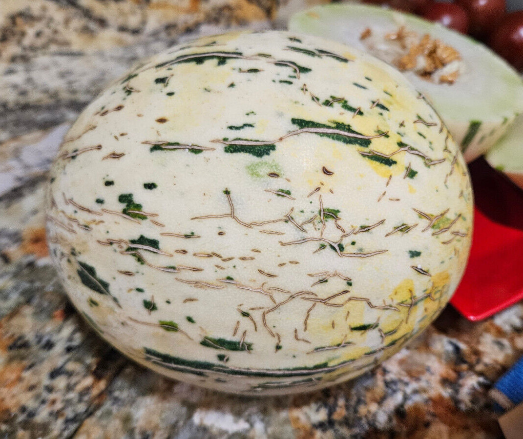 DYNO MELON Seeds (25) / DINOSAUR EGG MELON / HONDURAS / SUPER RARE FRUIT