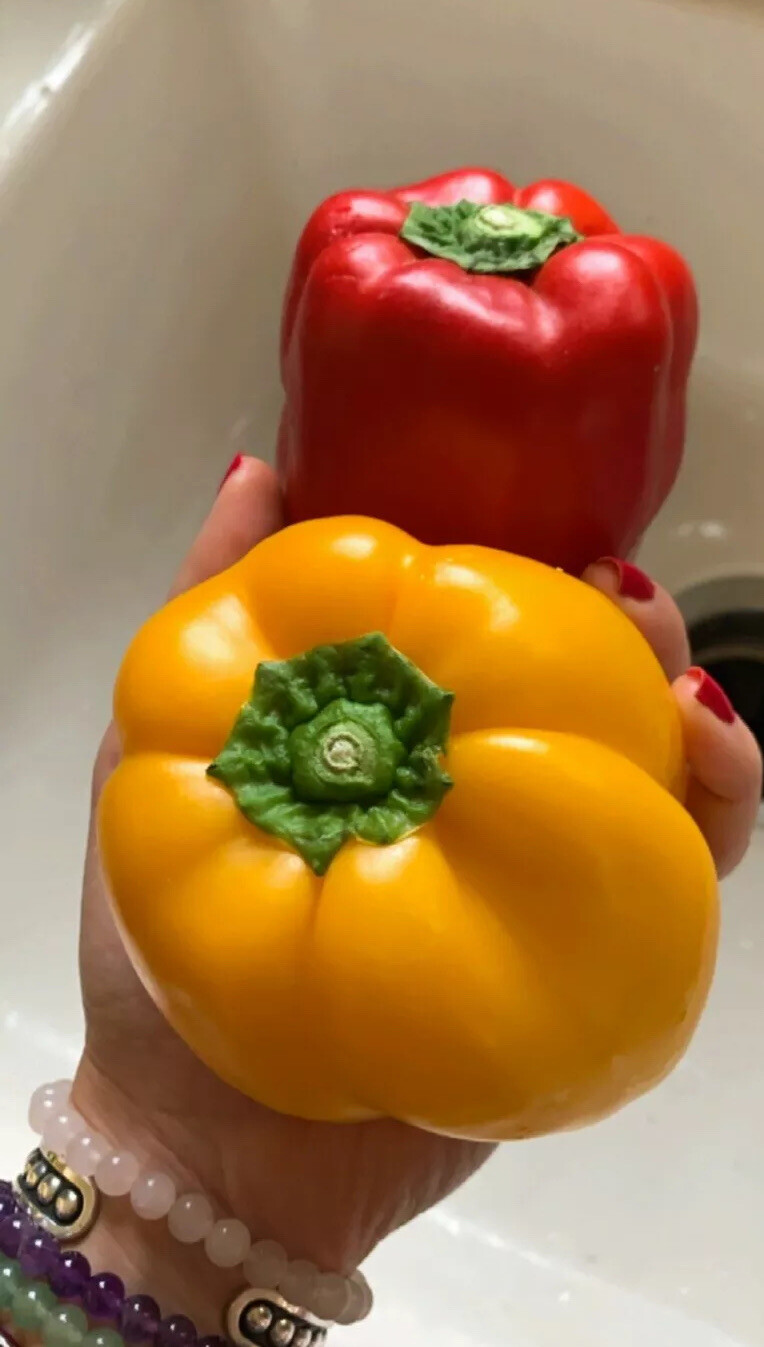 50 Homegrown Delicious Red Orange Yellow Bell Pepper Seeds Garden Vegetable USA
