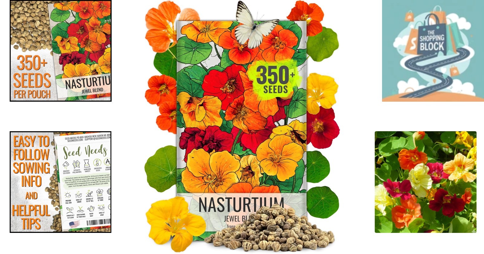 Multicolored Nasturtium Seeds, 350+ Heirloom, Full Sun, Summer Bloom