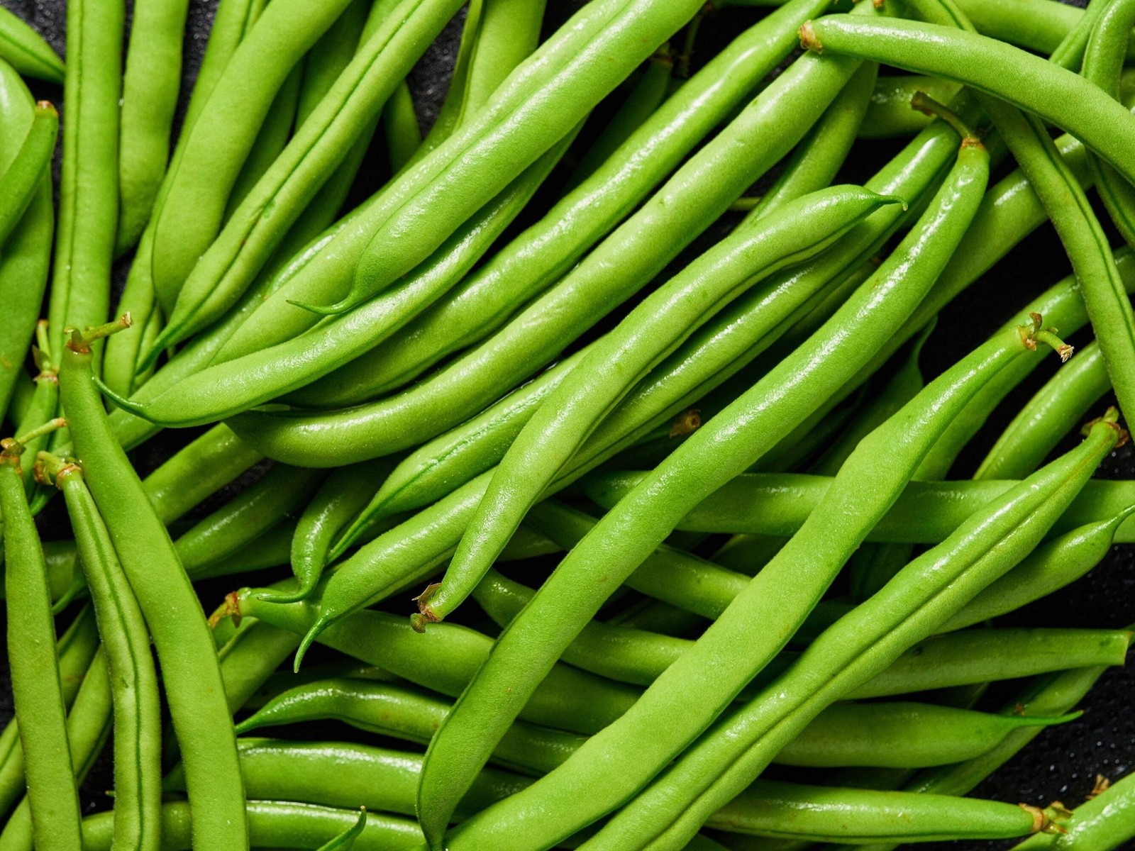 50 GREENCROP BEAN Phaseolus Vulgaris Vegetable Seeds