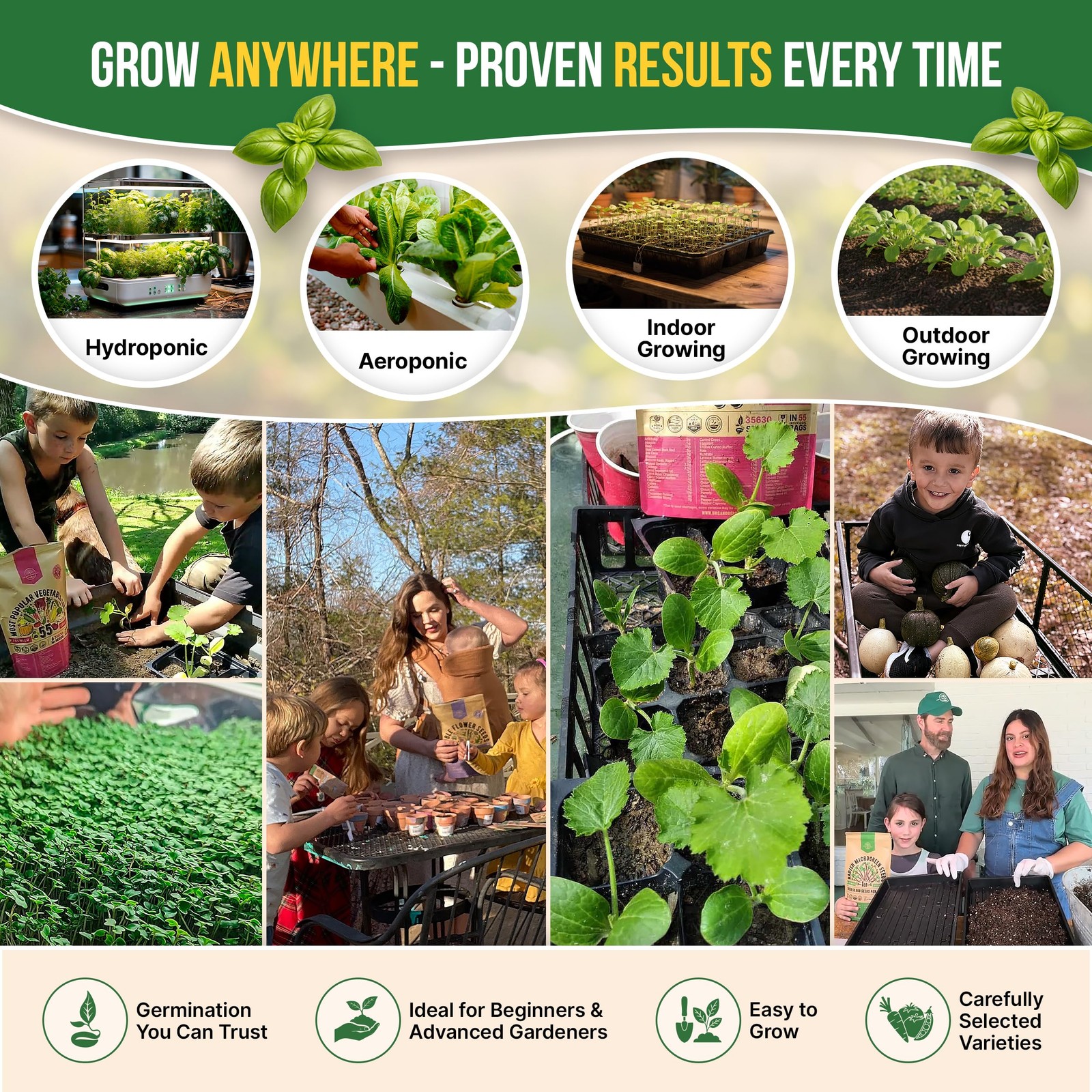 25 Most Popular Herb Seeds Variety Pack – 11,700 Non-GMO 25 Seeds, Green