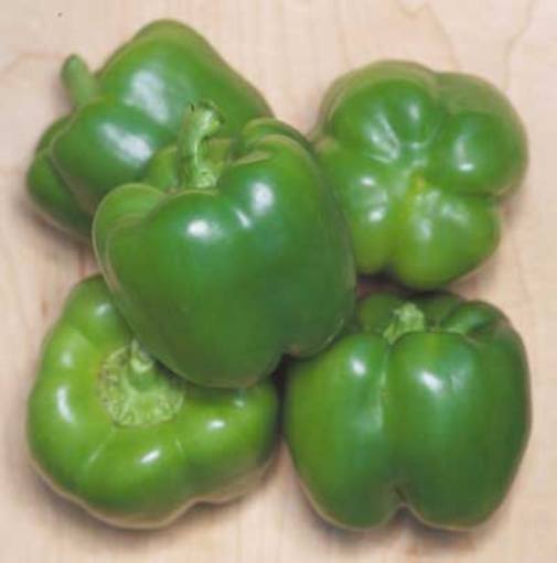 Direct Sow Food in 60 Days or Less 10000 + Seeds Heirloom OP Non GMO EASY GARDEN