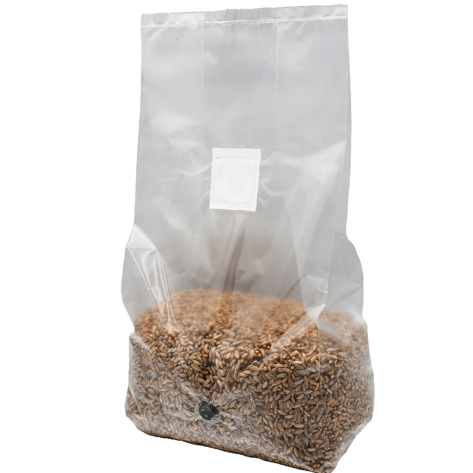 Sterilized Rye Berry Grow Bag (25lbs)
