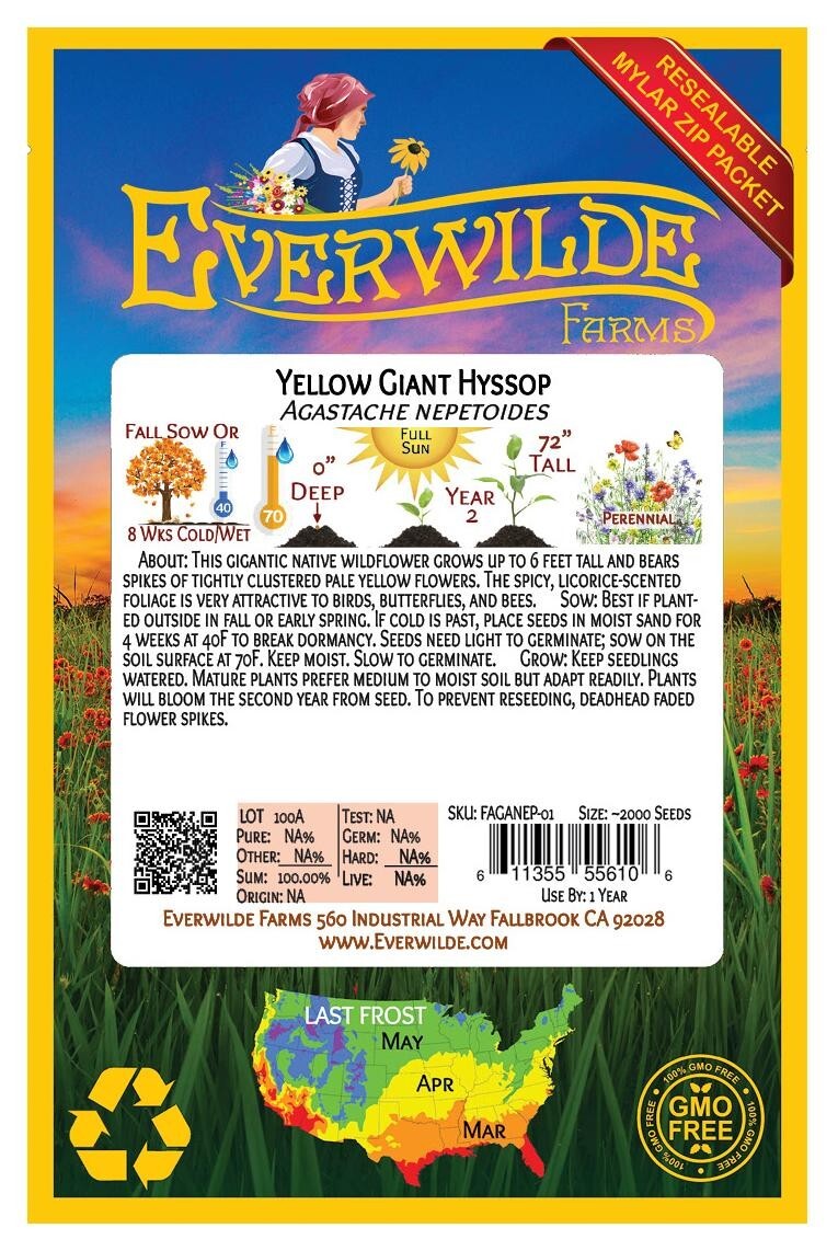 1000 Yellow Giant Hyssop Wildflower Seeds – Everwilde Farms Mylar Seed Packet