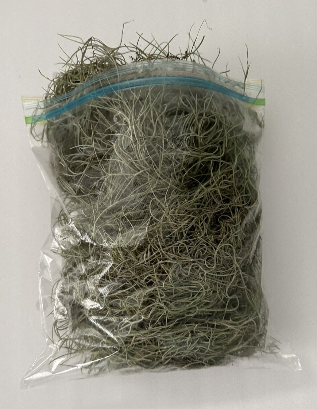 1LB/GAL Fresh Live Flowering SPANISH MOSS from Florida- Tillandsia AIR PLANT