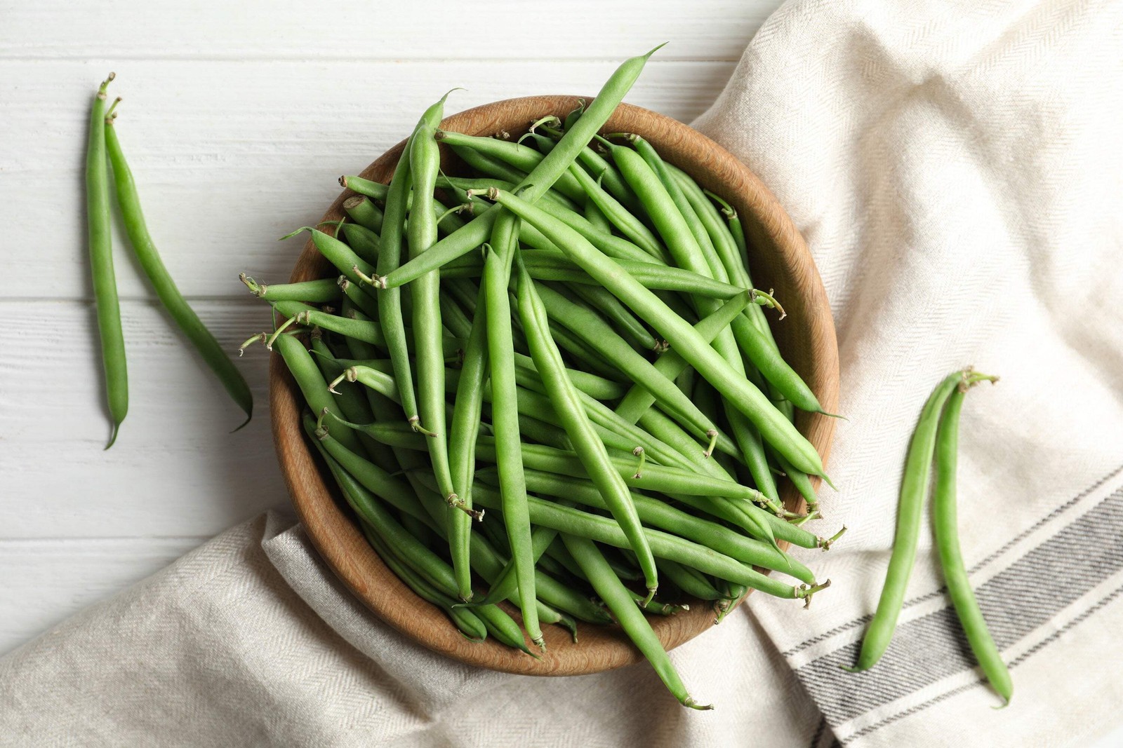 40 GREEN BEAN PROVIDER Phaseolus Vulgaris Vegetable Seeds