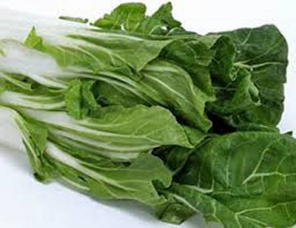 SWISS CHARD SEEDS, LARGE WHITE RIBBED, HEIRLOOM, 25+SEEDS, NON GMO