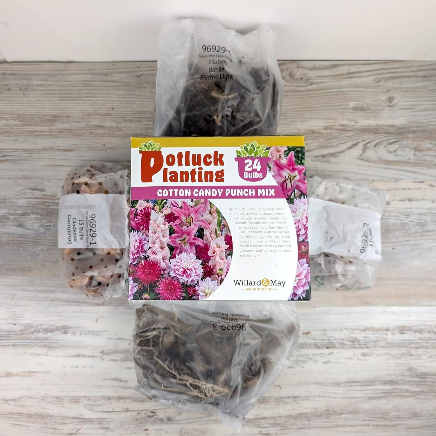 All-in-One Flower Bulb Garden Kit – Cotton Candy Punch Mix