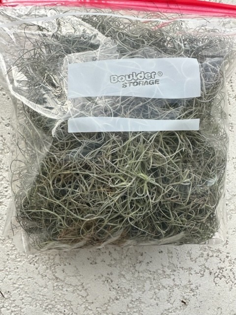 Fresh Live Spanish Moss Florida 1 Gallon Air Plant Crafts Decor Accent Tropical