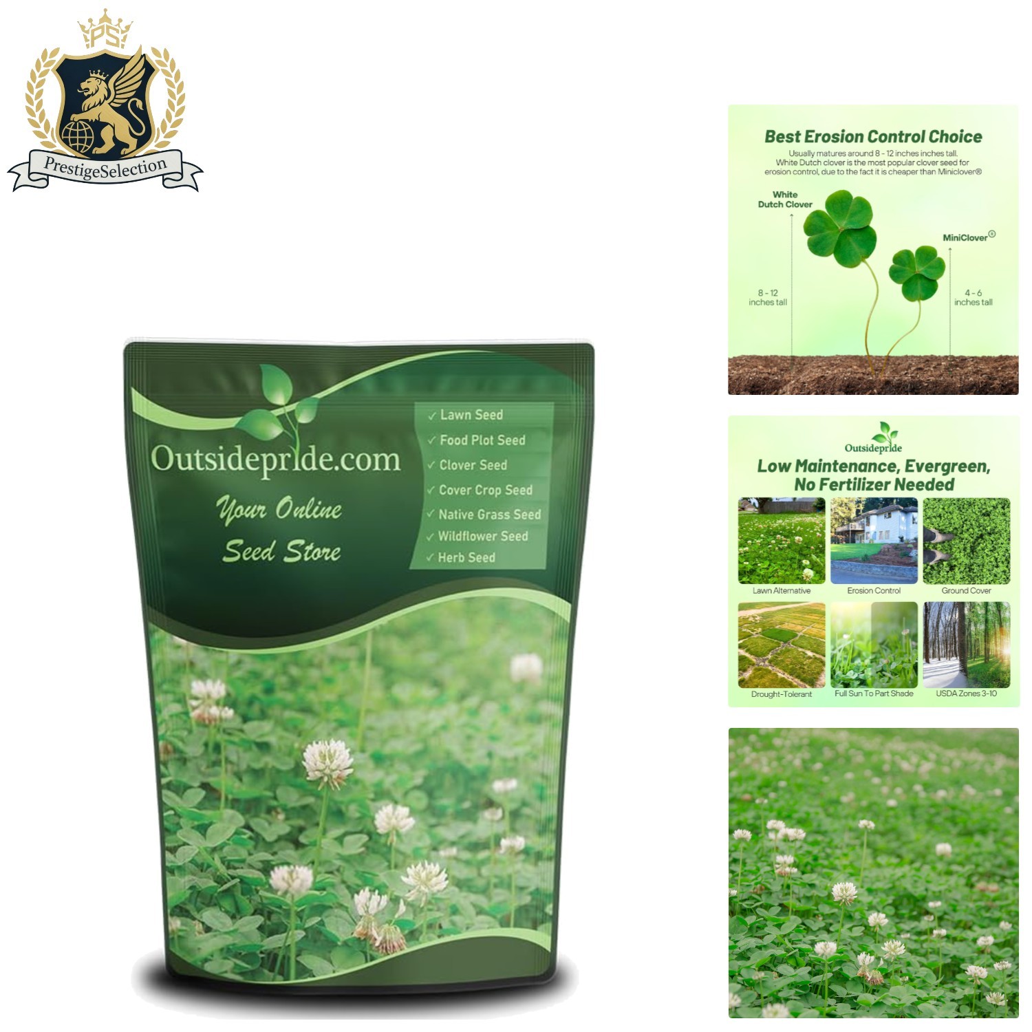 Fast-Germinating White Dutch Clover Seeds – 1/4 Lb for Effortless Ground Cover