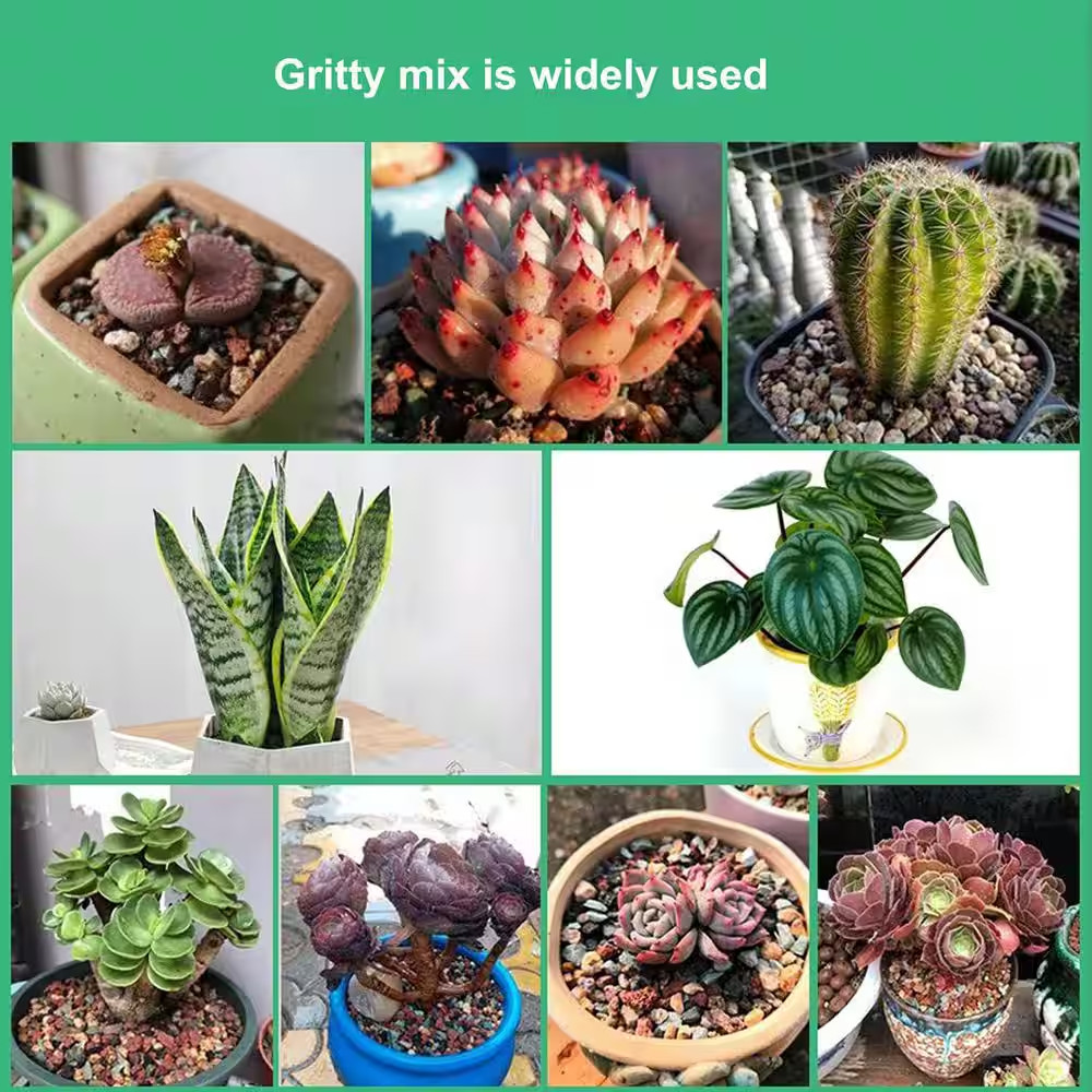 5 Lb. Succulent and Cactus Soil Gritty Mix Rocks Gravel for Terrarium Top Dressi