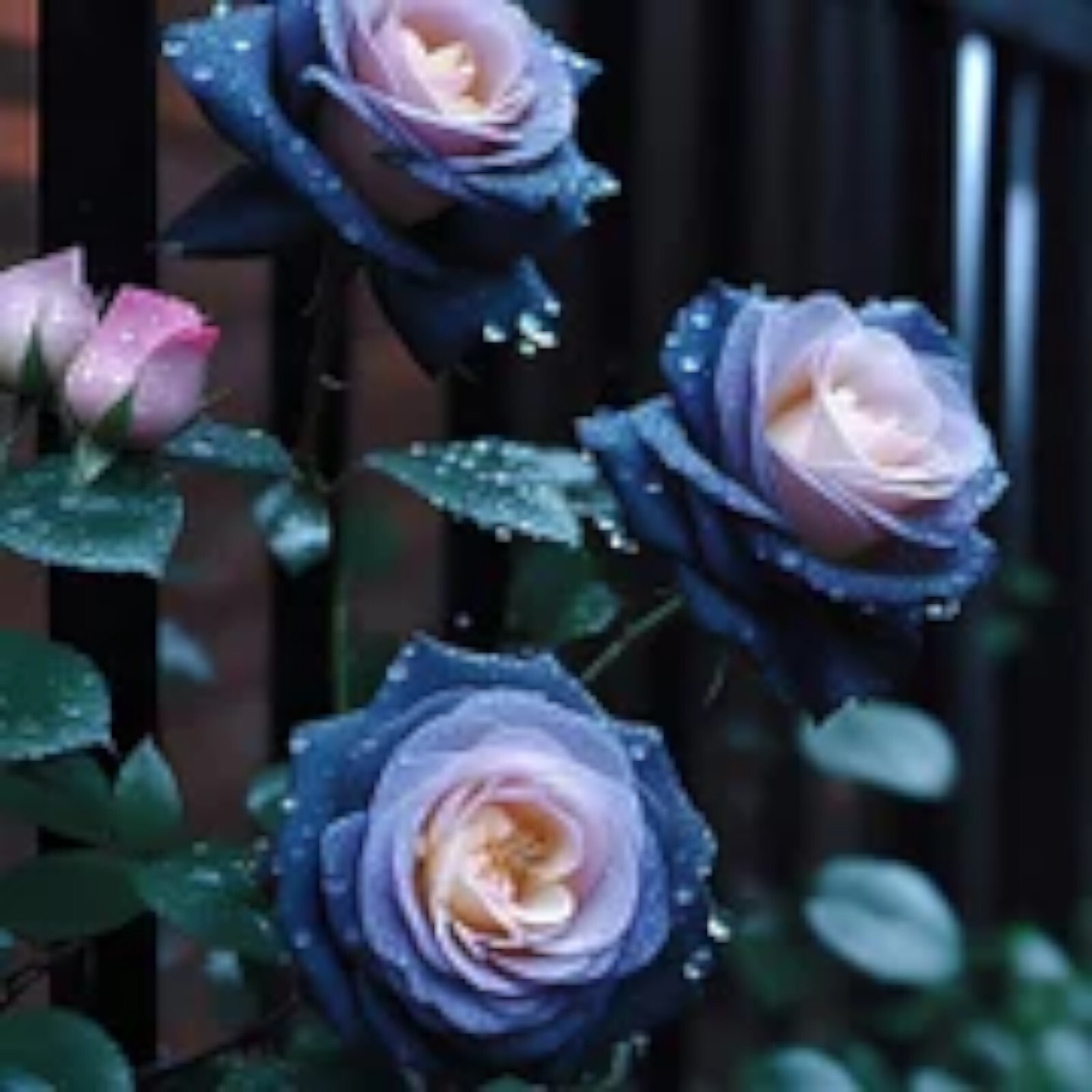 20pcs “FALL IN LOVE” Rose Seeds Fast Germination, Easy Care, Perfect for Garden