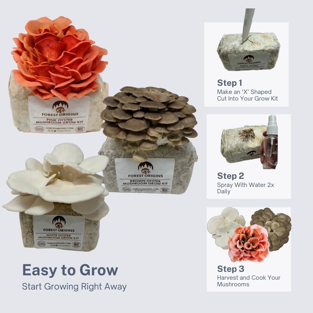 Mushroom Grow Kit – 3-Pack Pink, Brown, White Oyster for Home Gourmets