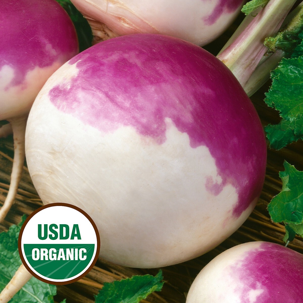 250 Organic Purple Top White Globe Turnip Seeds – Everwilde Farms Mylar Packet