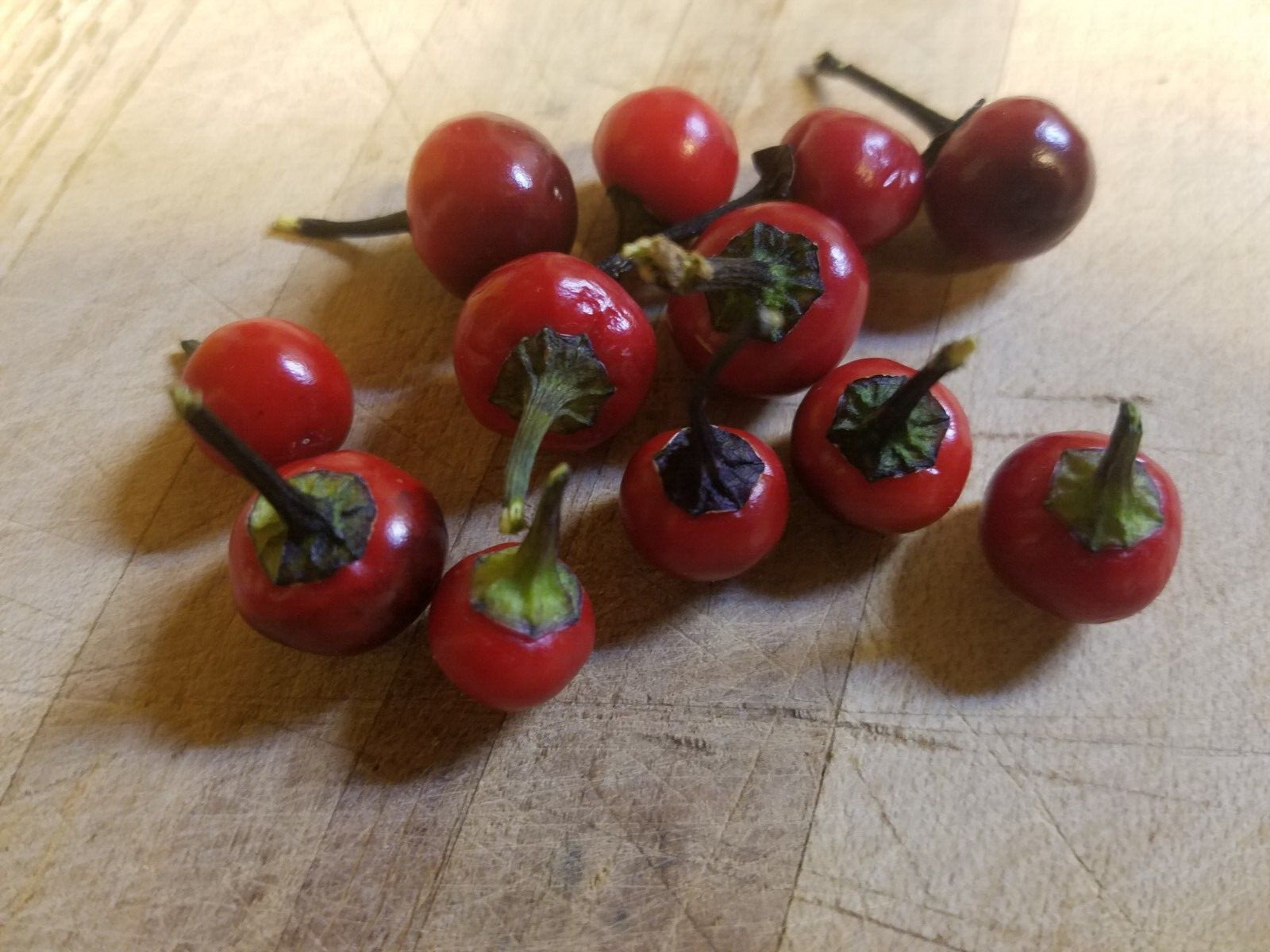 Ornamental – Black Pearl Pepper (25 Seeds) easy to grow and unique!