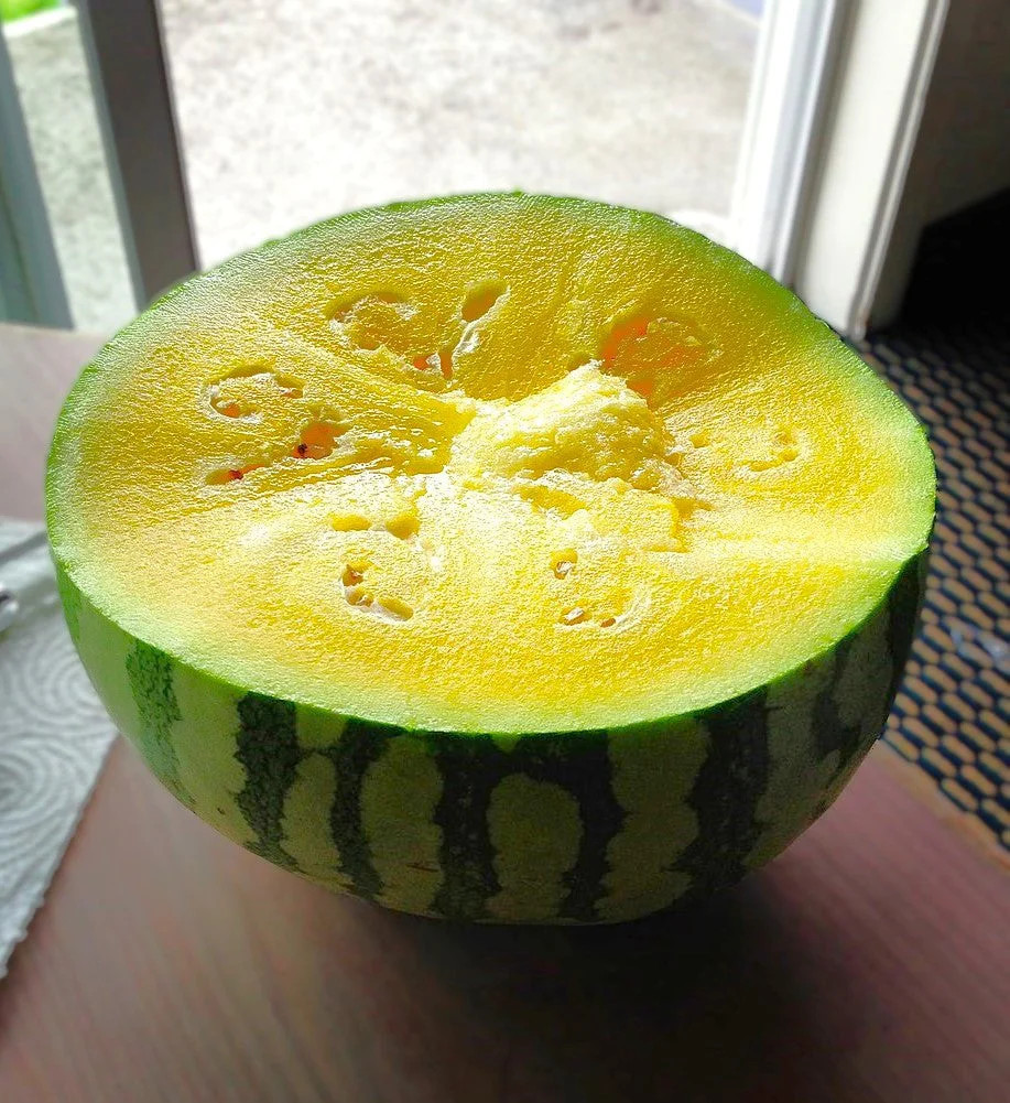 Mountain Sweet Yellow Watermelon Seeds – For 2025 Planting Bright Yellow Flesh