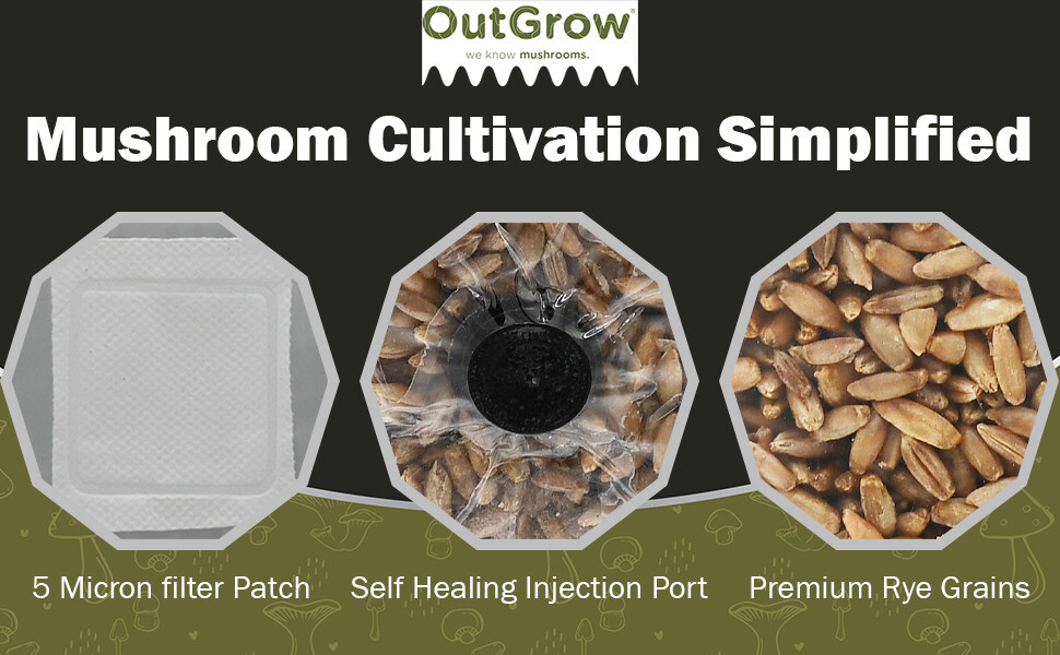 Sterilized Rye Berry Mushroom Substrate (24 One Pound Bags)