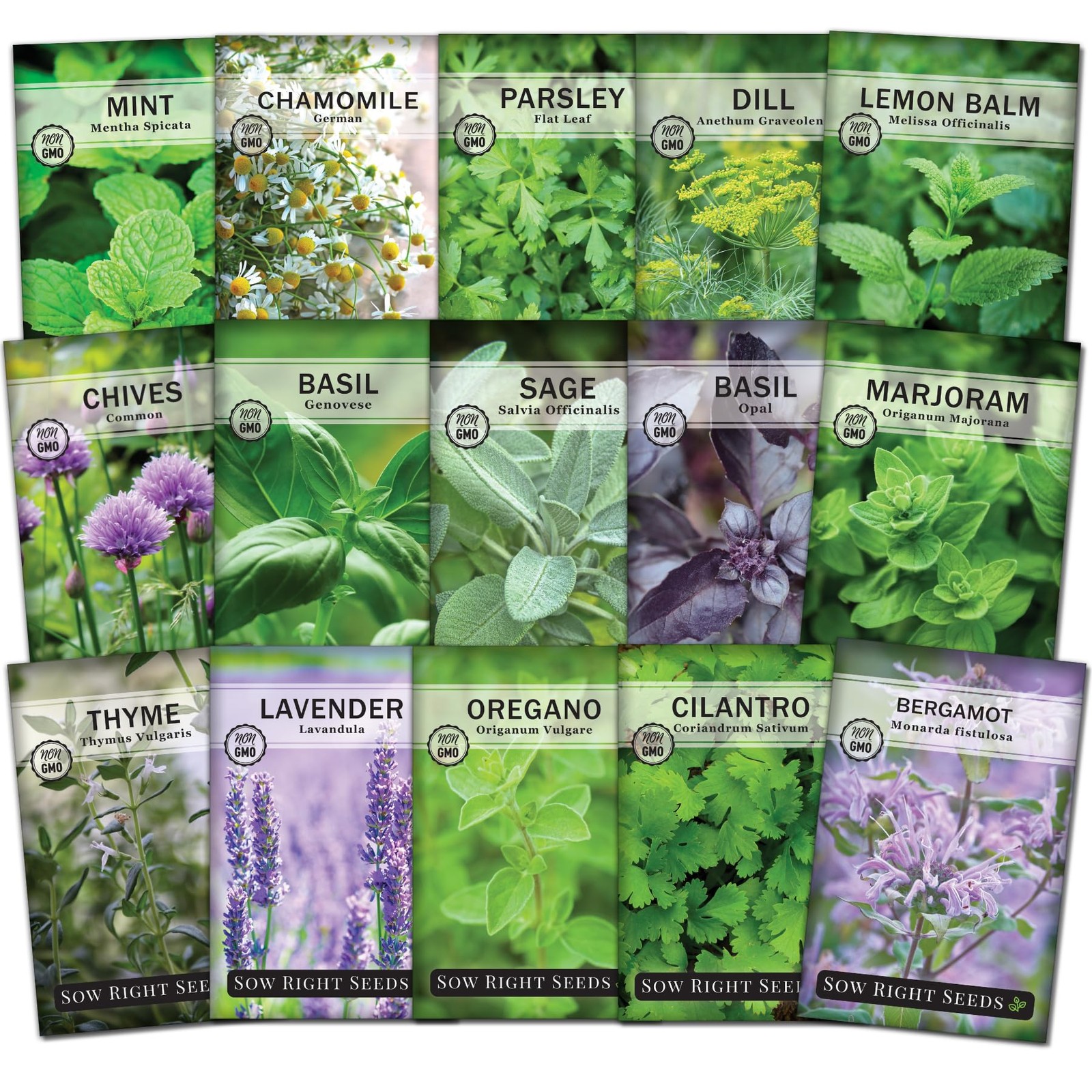 – 15 Herb Garden Seed Collection for Planting – Essential Herbs for Cooking -…