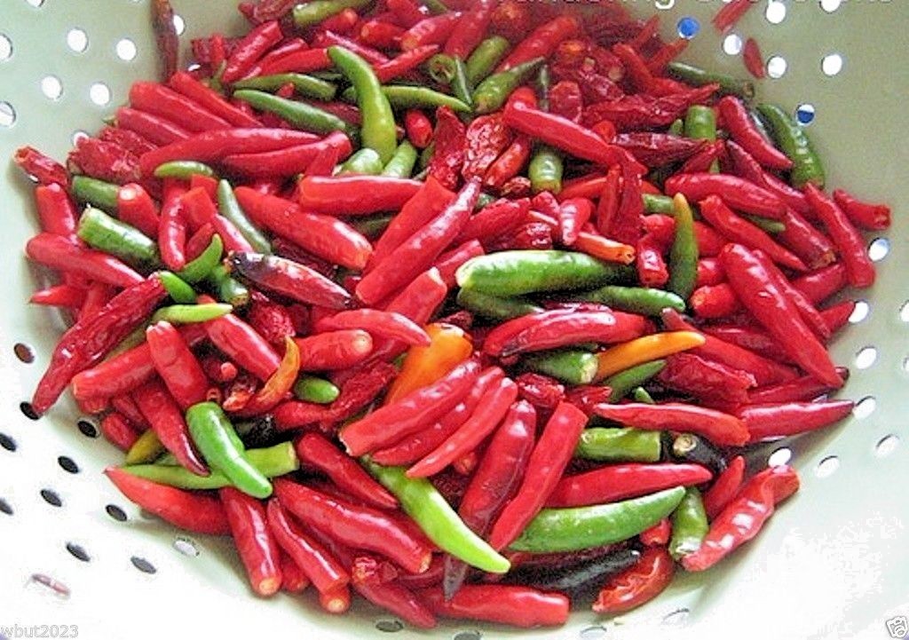 Vietnamese Tear Jerker hot chili pepper seeds non-gmo heirloom SRIRACHA SAUCE!