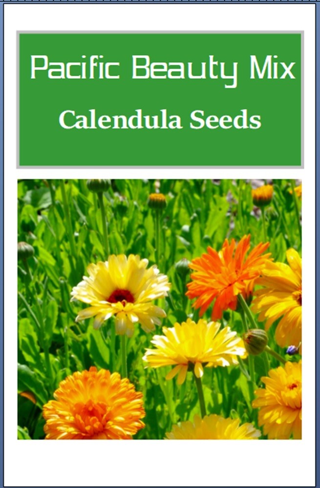 Calendula Seeds | Pacific Beauty Mix | Heirloom | Fresh Flower Seeds