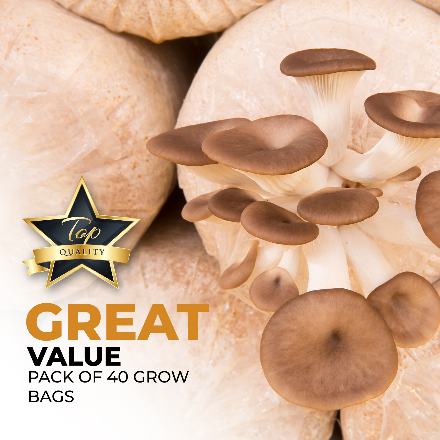 40 Pack, Mushroom Grow and Spawn Bags – Extra Thick – Size 4″ X 3.5″ X 13″